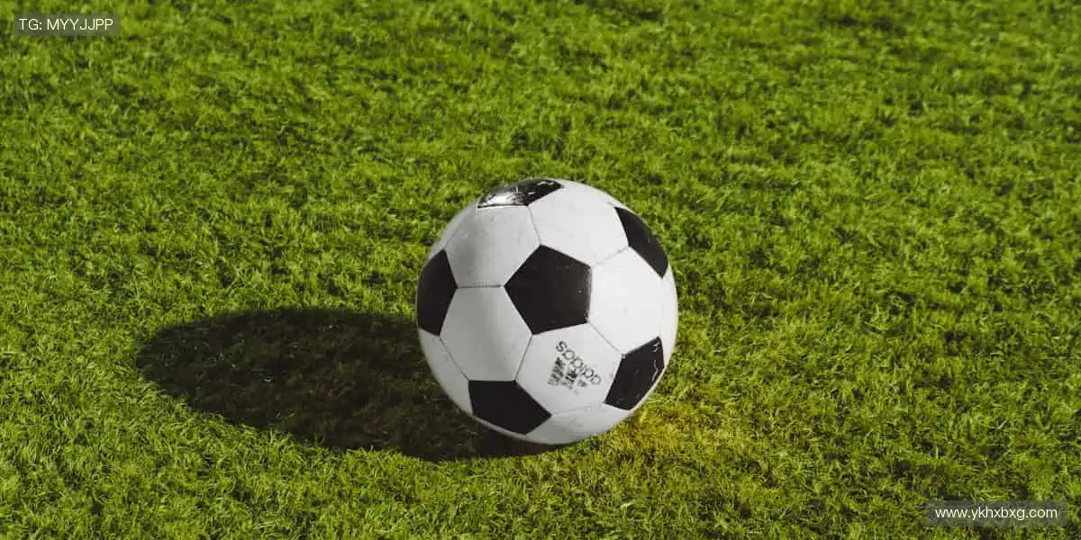 🎯冠军同款,即刻拥有!✨ 体育周边,点燃你的热爱!